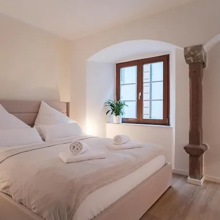 Neues Design-apartment, Altstadt, Business&ferien, Kueche, Netflix Bad Sackingen